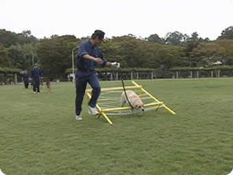 「障害物越え」で首から着地・・・